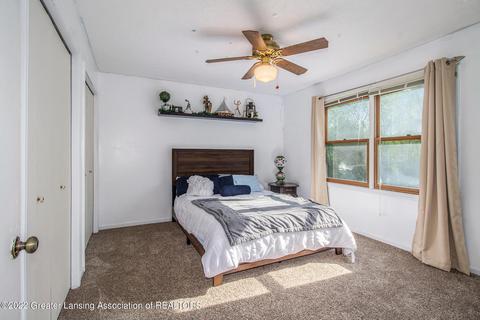 903 E Geneva Dr, Dewitt, MI 48820 photo 17