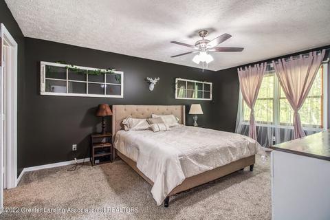 903 E Geneva Dr, Dewitt, MI 48820 photo 13