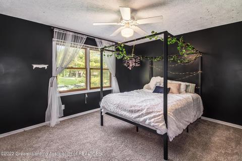 903 E Geneva Dr, Dewitt, MI 48820 photo 18