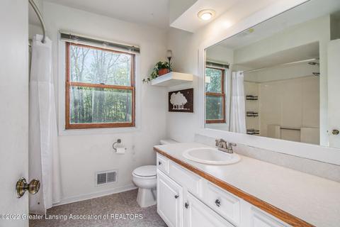 903 E Geneva Dr, Dewitt, MI 48820 photo 12