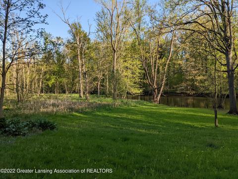 13321 S Wright Rd, Eagle, MI 48822 photo 9