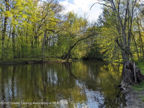 13321 S Wright Rd, Eagle, MI 48822 photo 8