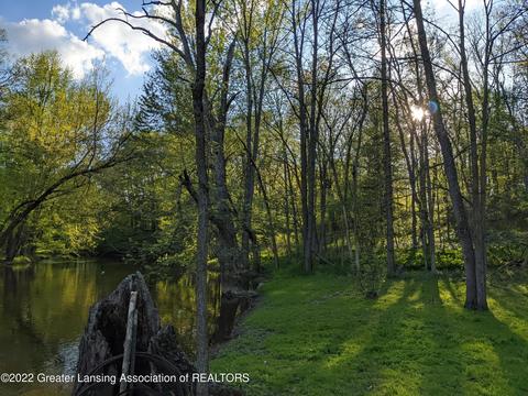 13321 S Wright Rd, Eagle, MI 48822 photo 31