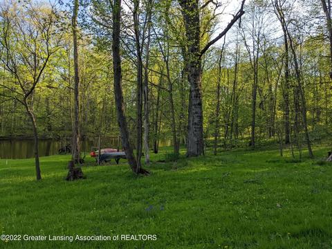 13321 S Wright Rd, Eagle, MI 48822 photo 30