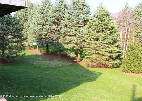 16770 Cedarbrook Dr, Haslett, MI 48840 photo 42