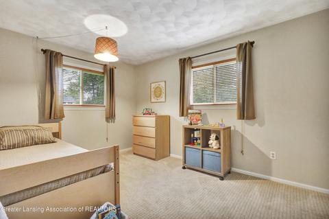 1217 W Dill Rd, Dewitt, MI 48820 photo 23