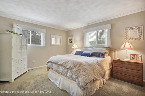 1217 W Dill Rd, Dewitt, MI 48820 photo 21