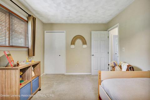 1217 W Dill Rd, Dewitt, MI 48820 photo 24