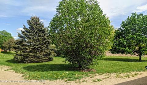 668 E Columbia Rd, Mason, MI 48854 photo 21