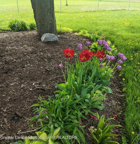668 E Columbia Rd, Mason, MI 48854 photo 16