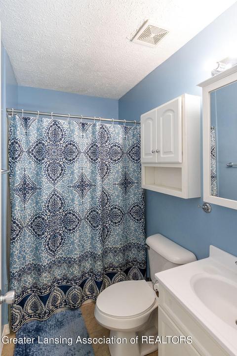 1305 Redpole Dr, Dewitt, MI 48820 photo 22
