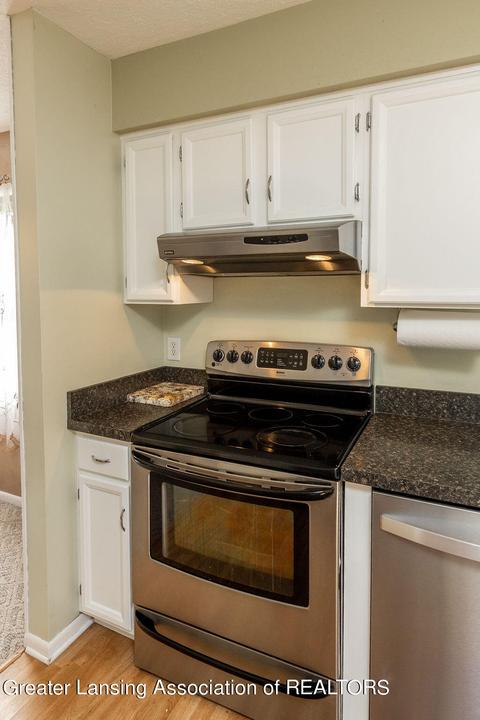 1305 Redpole Dr, Dewitt, MI 48820 photo 10