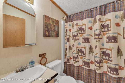 9190 Camden, Waldron, MI 49288 photo 24