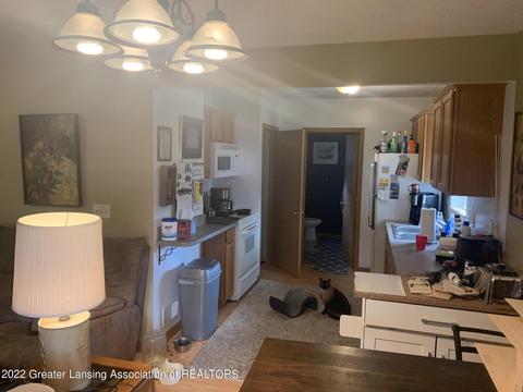 3221 Sheffer Ave, Lansing, MI 48906 photo 14