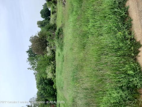505 Perry Lk, Perry, MI 48872 photo 1