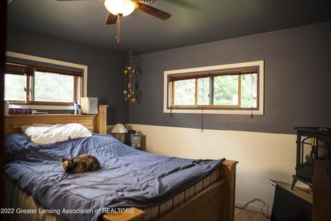 304 Pine St, Dimondale, MI 48821 photo 18