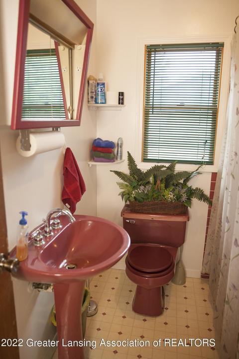 304 Pine St, Dimondale, MI 48821 photo 14