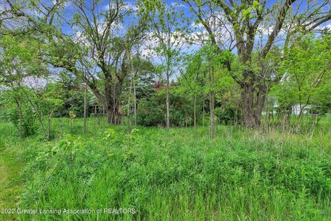 6738 E Parks Rd, Saint Johns, MI 48879 photo 45