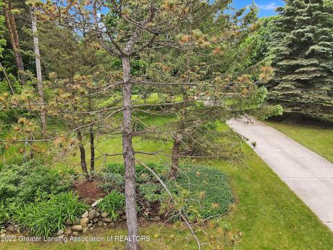 6738 E Parks Rd, Saint Johns, MI 48879 photo 58