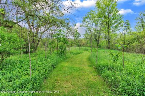 6738 E Parks Rd, Saint Johns, MI 48879 photo 44