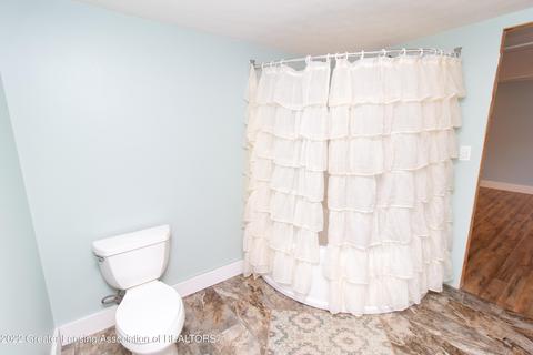 3307 N Dewitt Rd, Saint Johns, MI 48879 photo 24