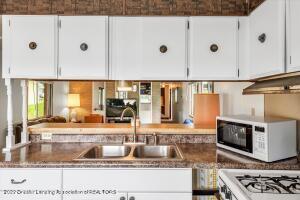 351 Dickerson Vw, Stanton, MI 48888 photo 14