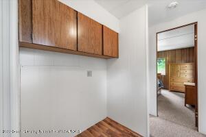 351 Dickerson Vw, Stanton, MI 48888 photo 21