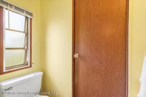 351 Dickerson Vw, Stanton, MI 48888 photo 18
