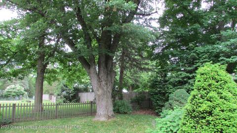 121 Rayner St, Mason, MI 48854 photo 25