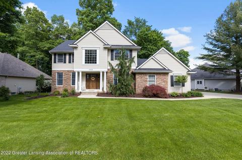 13423 Speckledwood Dr, Dewitt, MI 48820 photo 53
