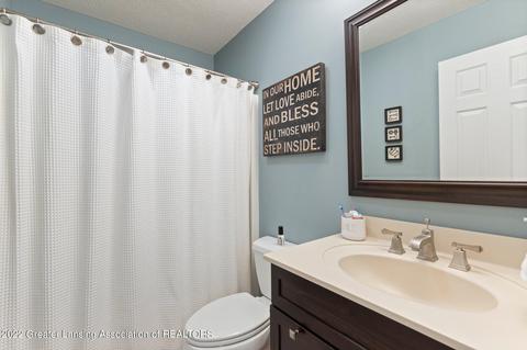 13423 Speckledwood Dr, Dewitt, MI 48820 photo 29