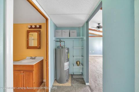 415 Cherry St, Dewitt, MI 48820 photo 13