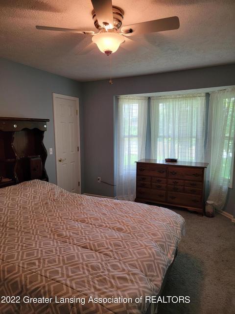 206 E Riverside St, Williamston, MI 48895 photo 12