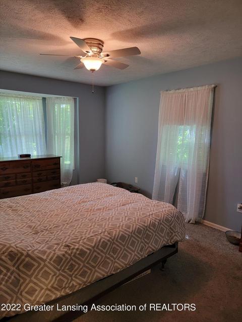 206 E Riverside St, Williamston, MI 48895 photo 10