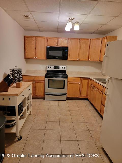 206 E Riverside St, Williamston, MI 48895 photo 23
