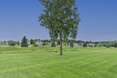 4165 Stillbrook Ln, Dewitt, MI 48820 photo 34