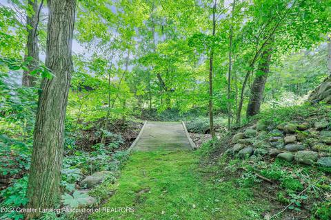 11750 Eden Trl, Eagle, MI 48822 photo 26