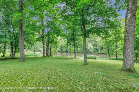 11750 Eden Trl, Eagle, MI 48822 photo 22