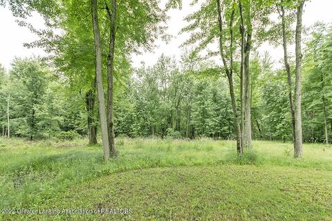 4840 Ballentine, Bath, MI 48808 photo 38