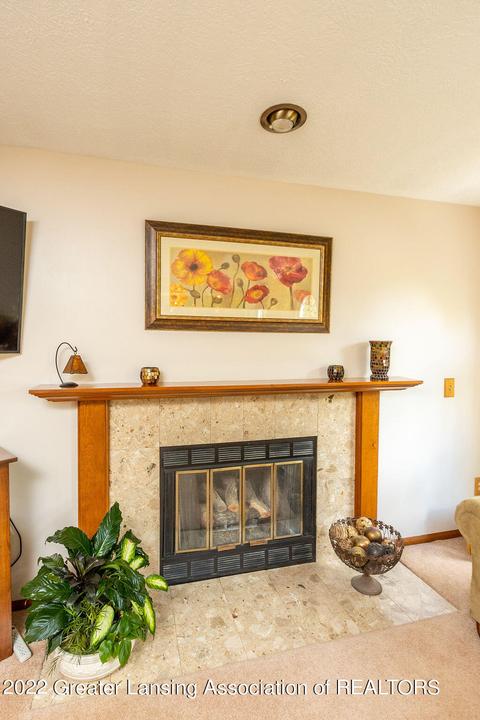 4232 Saran Dr, Okemos, MI 48864 photo 22