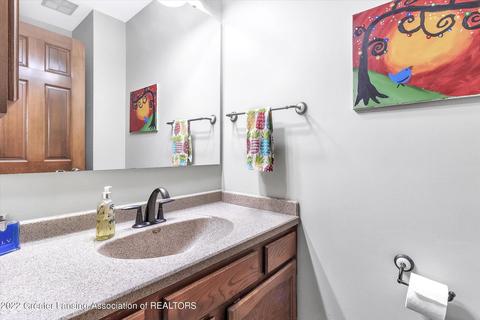 106 Spring Meadows Ln, Dewitt, MI 48820 photo 24