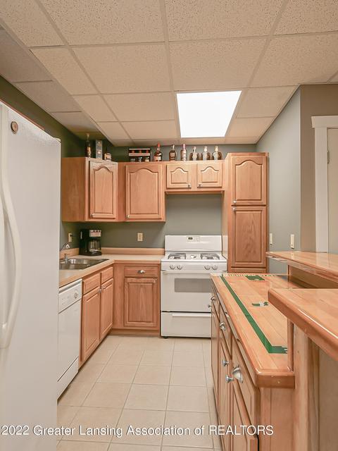 3079 Granview Ln, Dewitt, MI 48820 photo 38