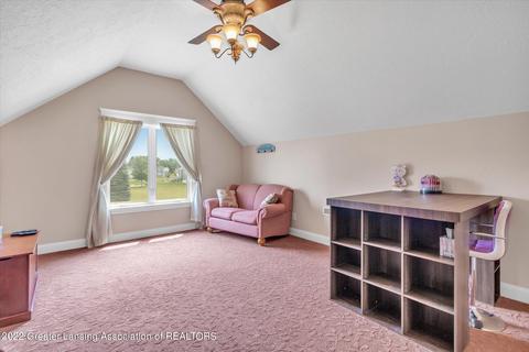 12871 Warm Creek Dr, Dewitt, MI 48820 photo 39
