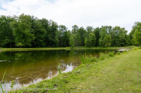 504 W Spring Meadows Ln, Dewitt, MI 48820 photo 11