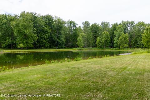 504 W Spring Meadows Ln, Dewitt, MI 48820 photo 9