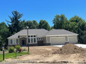 3920 Norway Pine Dr, Dewitt, MI 48820 photo 1