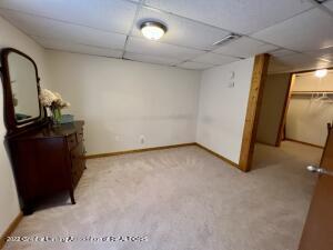 404 Creeping Brook Cir, Dewitt, MI 48820 photo 19