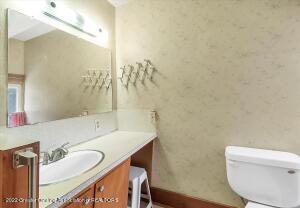 240 E Pine St, Elsie, MI 48831 photo 26