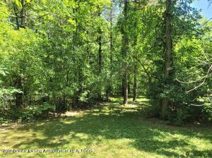 667 Lansing Rd, Morrice, MI 48857 photo 11