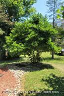 667 Lansing Rd, Morrice, MI 48857 photo 4